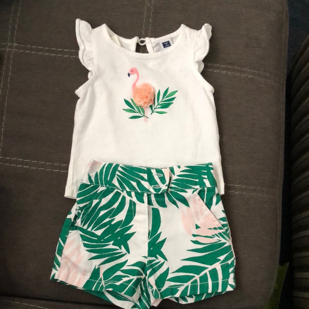 JANIE and JACK shirt and shorts 6-12mo.